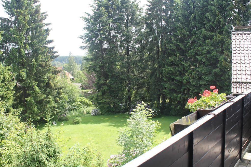 Hotel Ulrichshof Braunlage Esterno foto